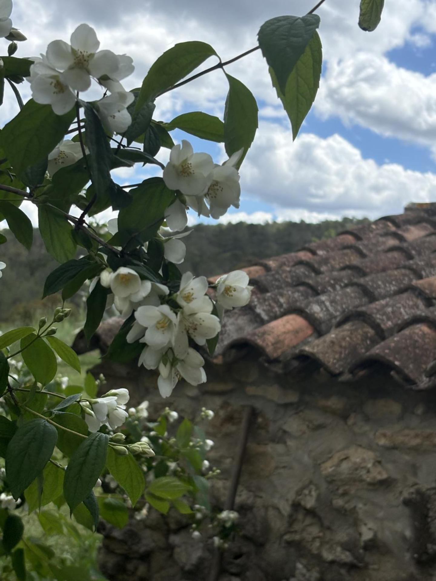 Casa Rural En Un Paraje Natural Enguera Kültér fotó